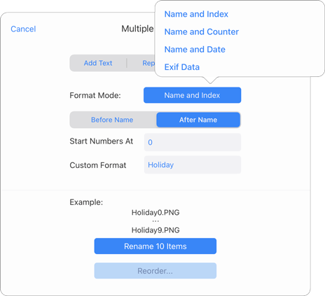 batch rename utility for iPad