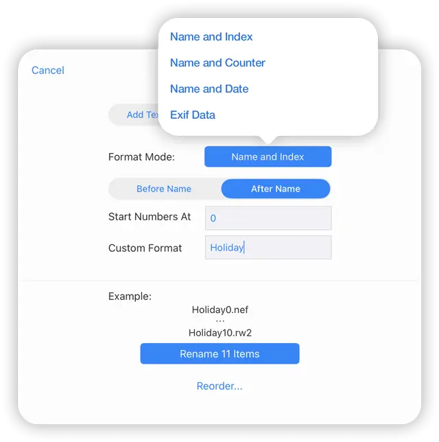 batch rename utility for iPad