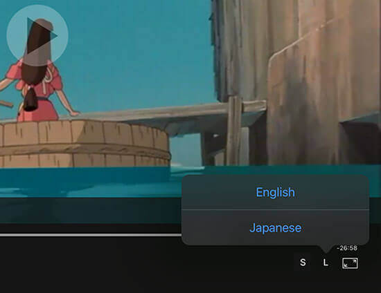 iPad movie playback with video language support