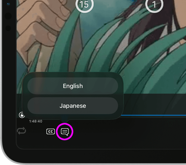 iPad movie playback with video language support
