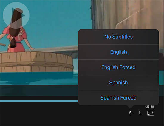 Movie playback with subtitle support on your Mac