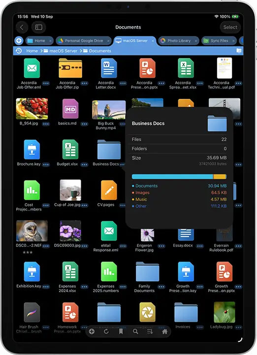 Perfect File Manager