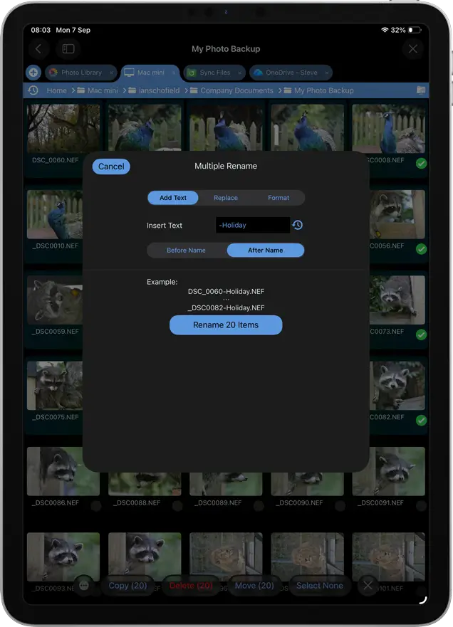 Add text to filenames and batch rename files on iPad / iPhone
