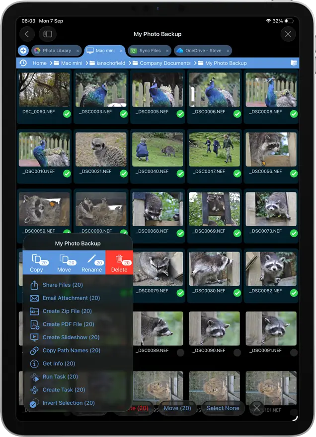 Select multiple files for bulk renaming using iOS