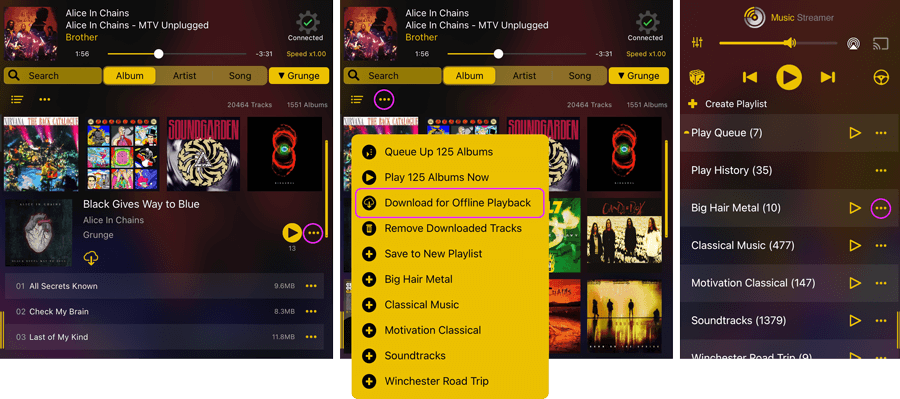 Download your music files to your iPad for offline play