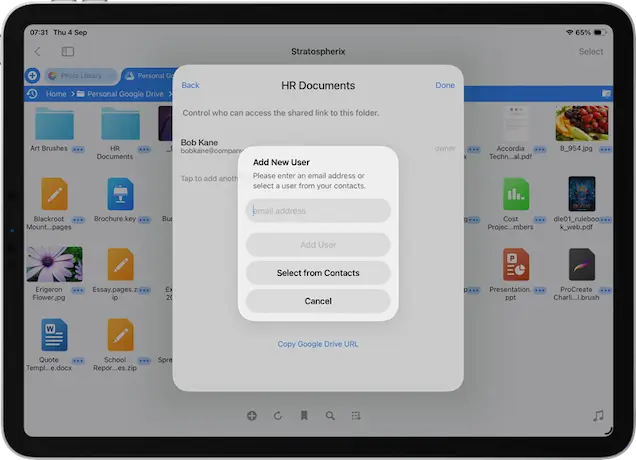 Manage Google Drive Shares with FileBrowser Professional