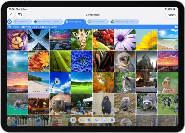 How to ChromecastCast Photos to your TV