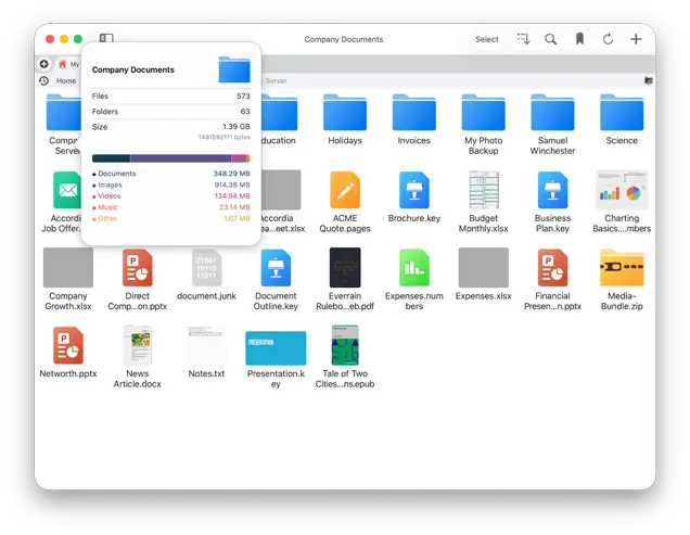 FileBrowser Pro document viewer open on Mac showing a file list and folder contents summary before opening a document