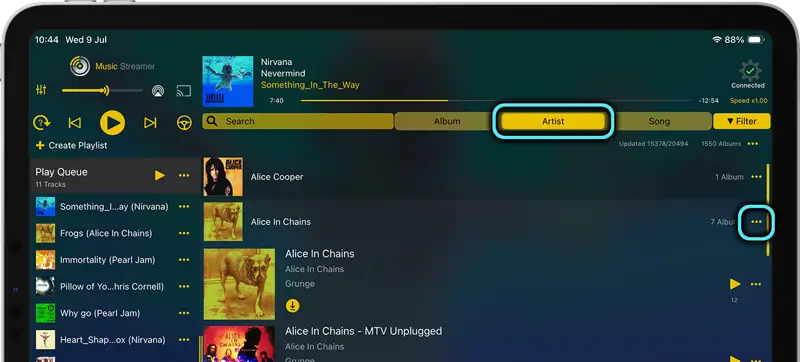 Easily download all the albums by a set artist that you own, listen to them in offline mode
