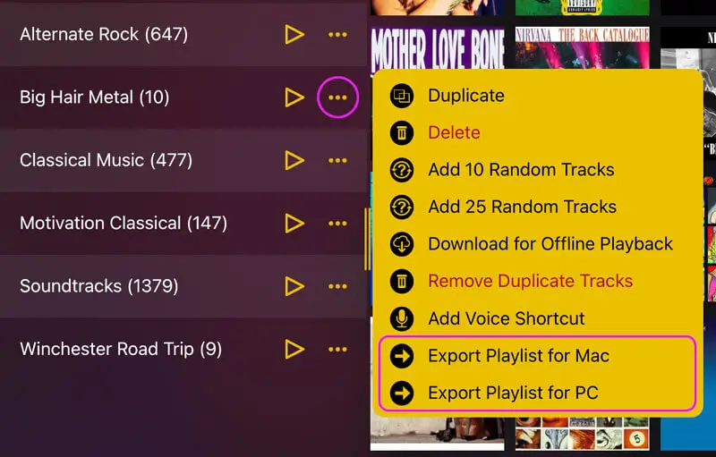 Export playlists from MusicStreamer