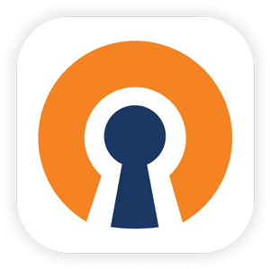 Download OpenVPN app