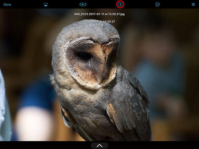 Select a photo and tap the information icon, this will bring up the information panel.
