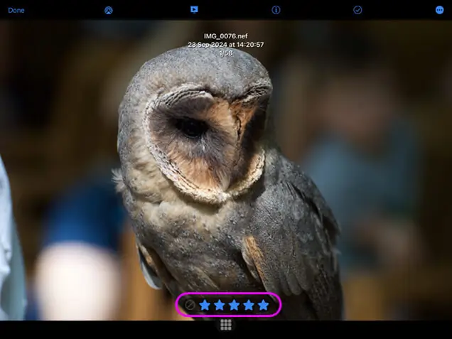Select a photo and tap the information icon, this will bring up the information panel