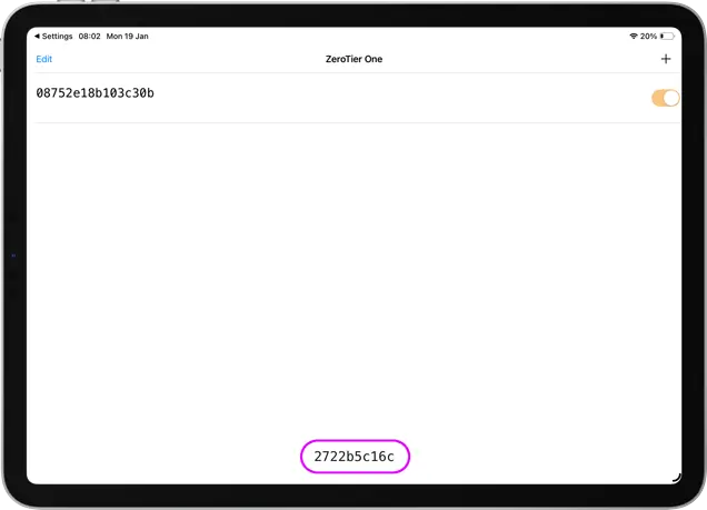 Turn on your Network in the ZeroTier app