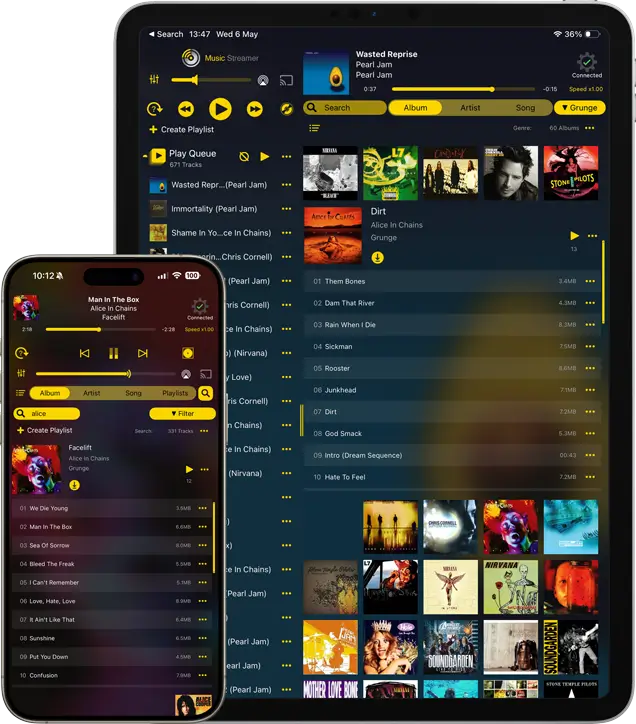 Scan and play your music files from your iPad
