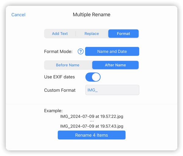 FileBrowser Advanced Bulk Rename Features