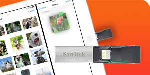 USB Flash drive support for iPad.